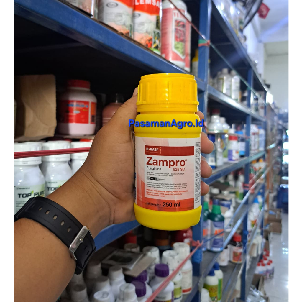 Jual FUNGISIDA ZAMPRO 525 SC - 250 ML | Shopee Indonesia
