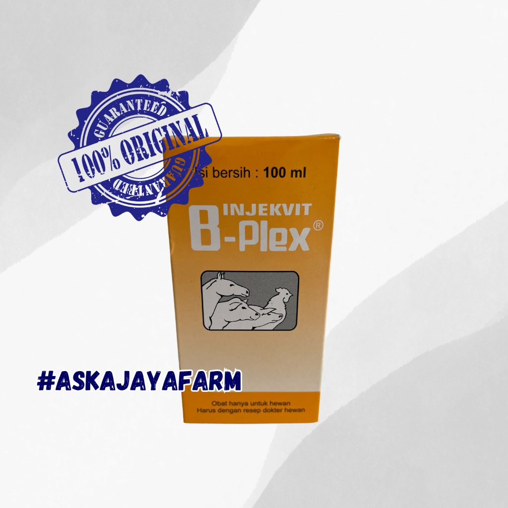 Jual Injekvit BPLEX - 100ml Vitamin B for Poultry, Cattle, Horse, and ...