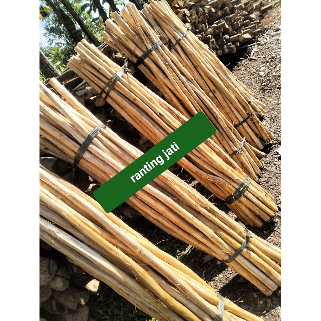 Jual ranting jati ukuran diameter 2*3 cm panjang 1,5 mtr | Shopee Indonesia
