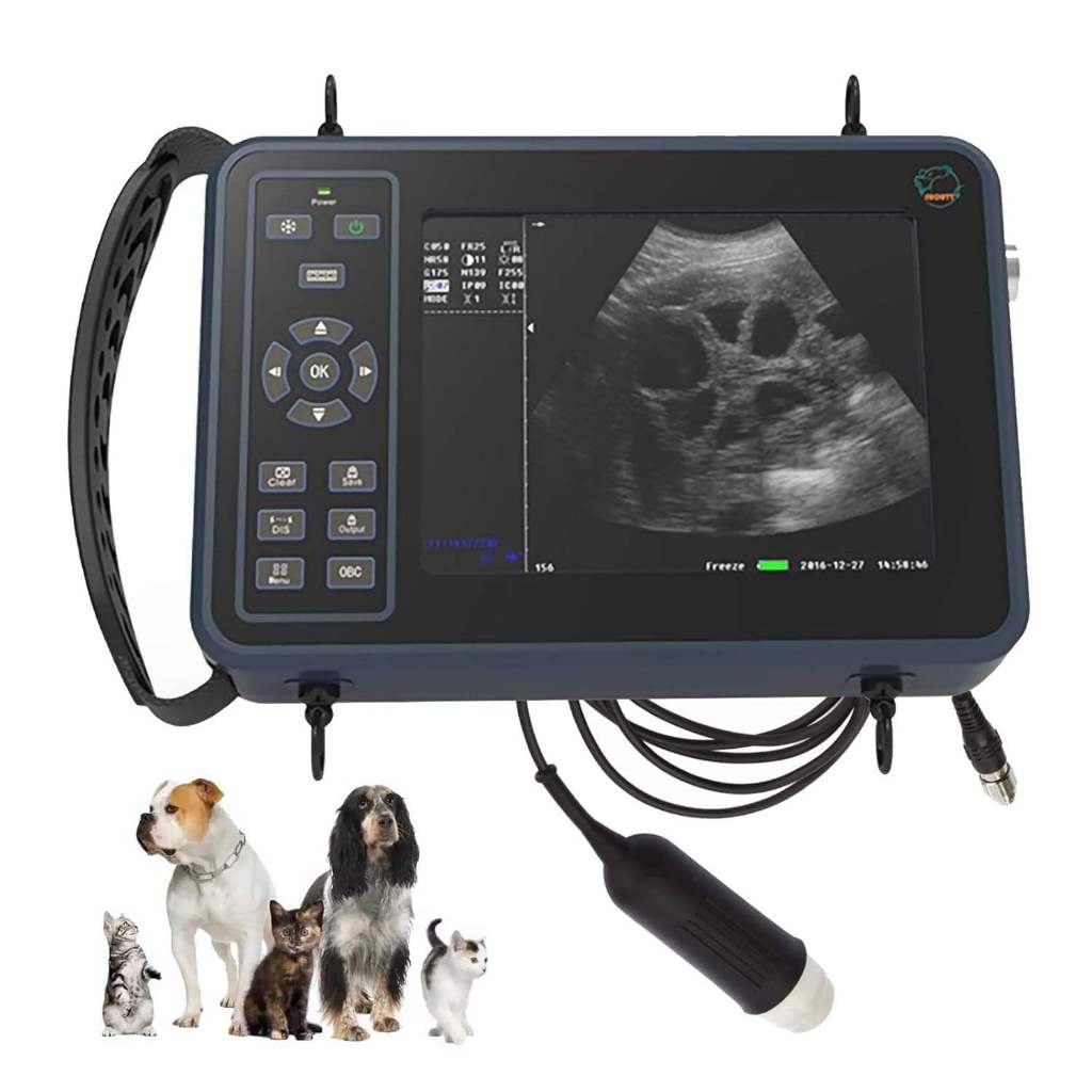 Jual GOYOJO Portable Veterinary Ultrasound Scanner for Pregnancy with ...