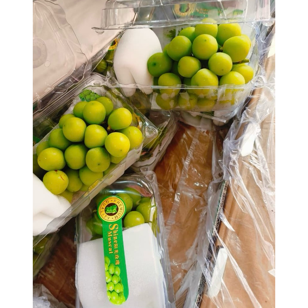Jual Shine Muscat pack manis ready stock | Shopee Indonesia