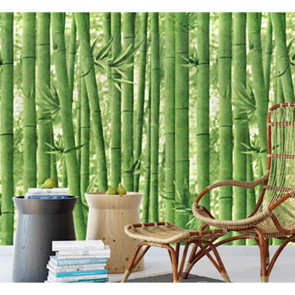 Jual Wallpaper Sticker Bambu Hijau Tua 8 meter x 45 cm | Shopee Indonesia