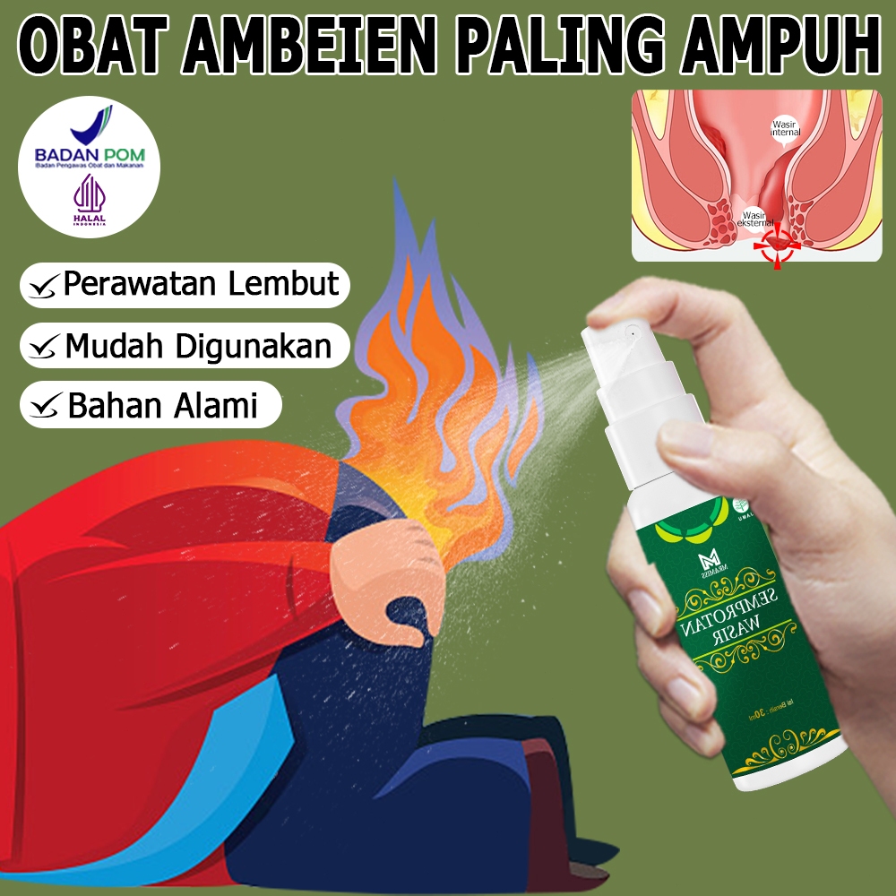 Mengandung daun ungu untuk ambeien obatwasir luar obat ambeienpaling bagus cina 30ml
