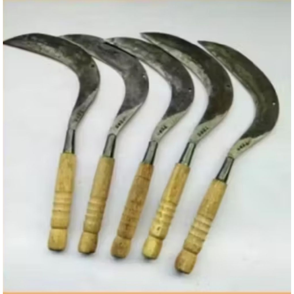Jual alat berkebun sabit cari rumput | Shopee Indonesia