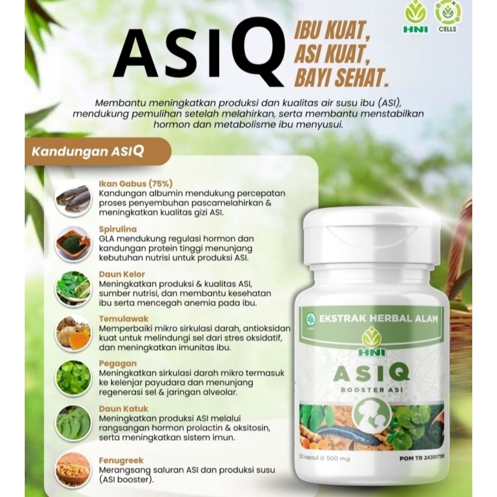 Jual HNI ASIQ | Shopee Indonesia