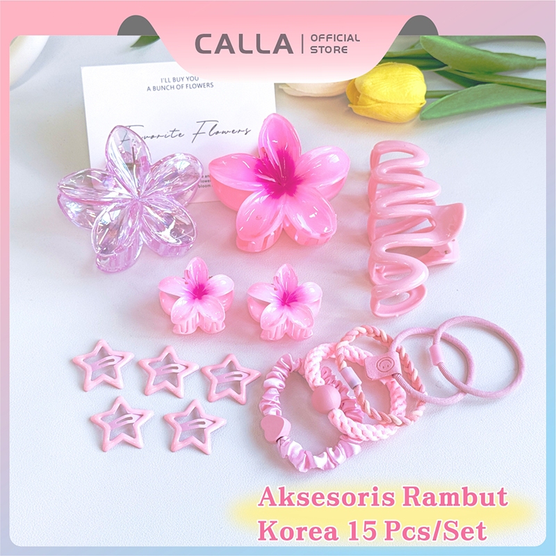 Jual Calla Jepit Rambut Korea Set 15 Pcs/Set Aksesoris Rambut Berwarna ...