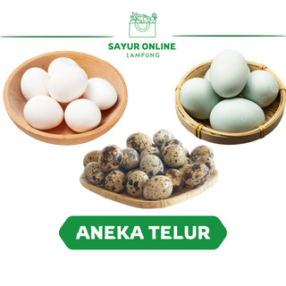 Aneka Telur 1 pcs - Ayam Kampung - Telur Bebek - Telur Puyuh