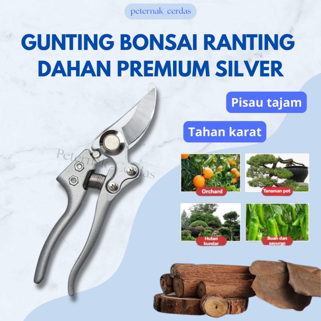Jual Gunting Dahan Bonsai Tajam Kuat | Gunting Grooming Bonsai Tanaman ...