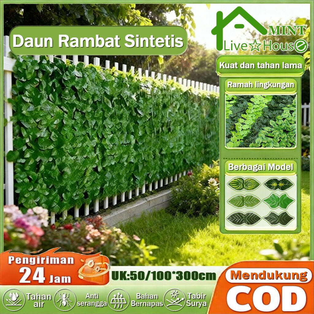 Produk MINT Live ☆ House | Shopee Indonesia