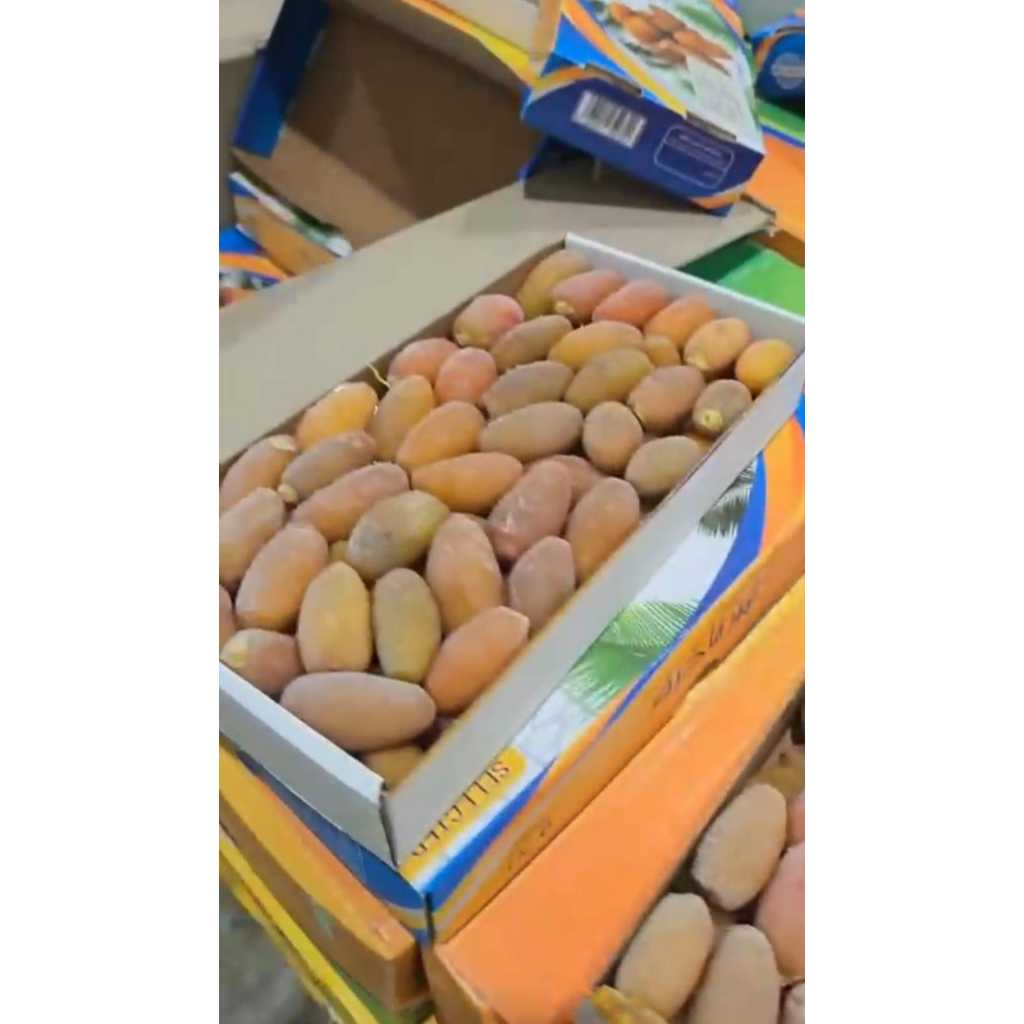 Jual Kurma Ruthob Libyan 1KG Fresh Manis Lembut Premium Import | Shopee ...