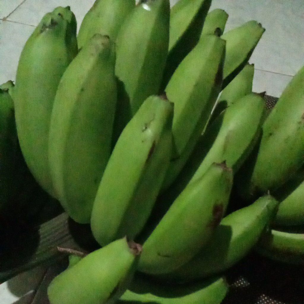 Jual Pisang Embuk/Gintung/Blitung | Shopee Indonesia