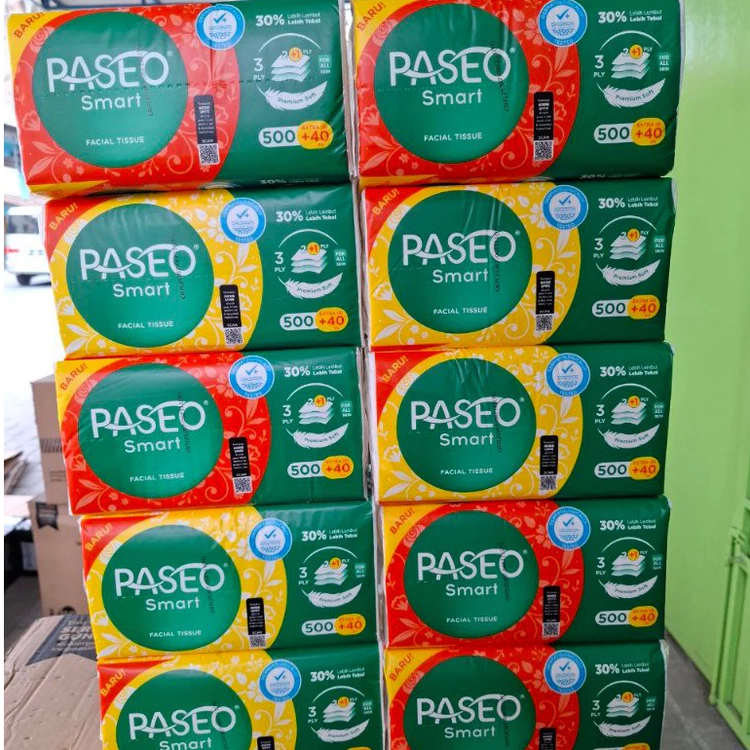Tissue Passeo 10 Pcs 540 Lembar