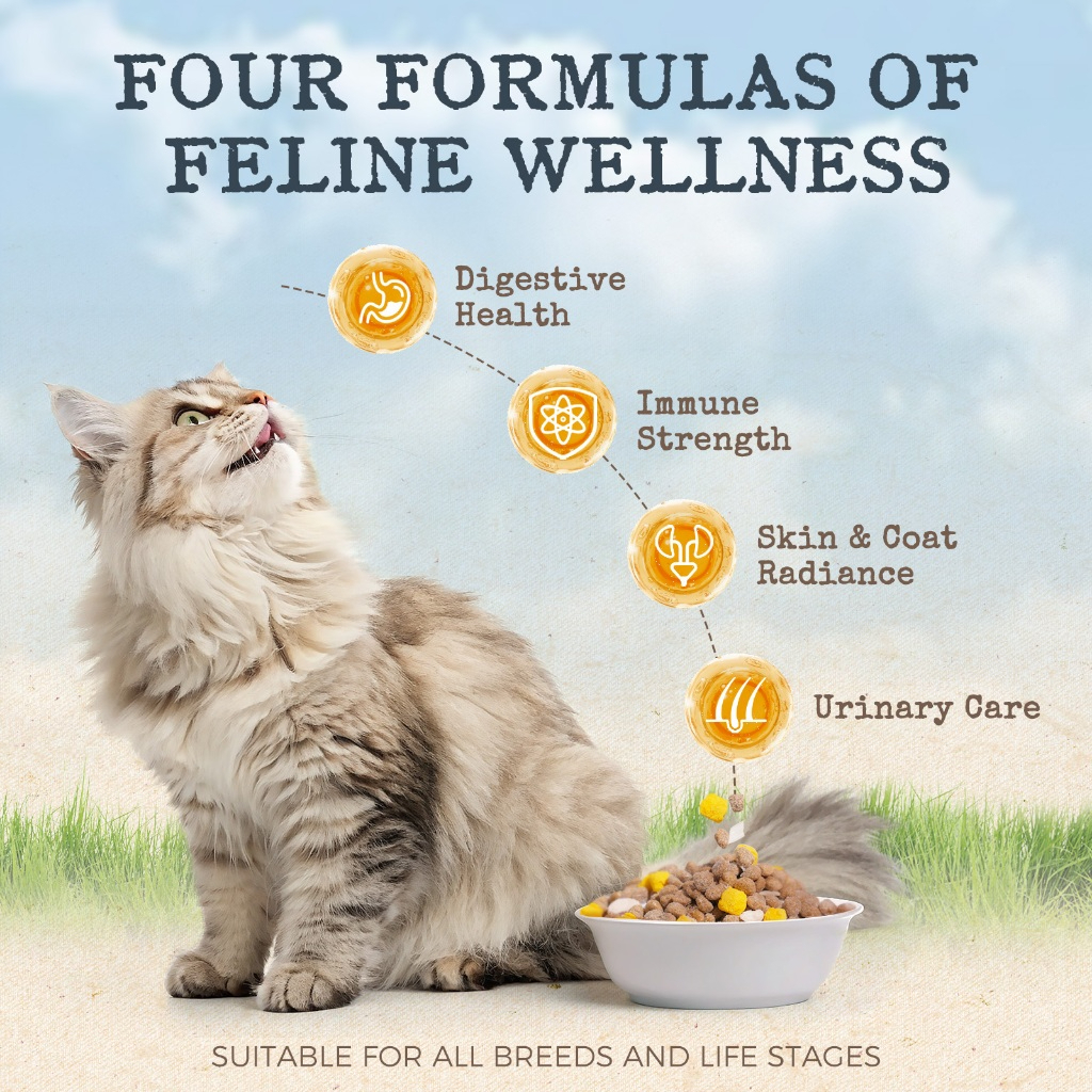 Jual VEV Feline Fit 1 KG Dry Cat Food Makanan Kucing Kering Urinary ...