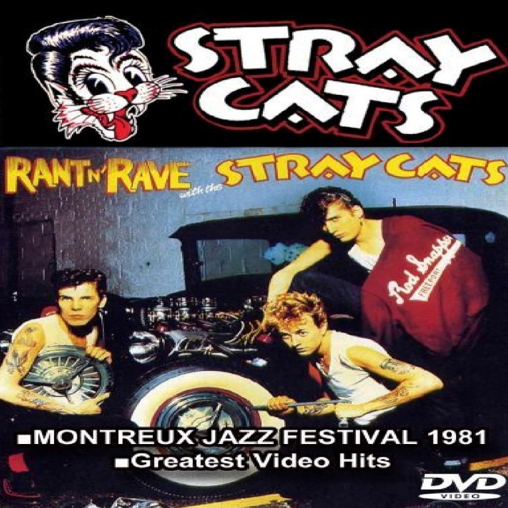 Jual Musik Stray Cats * Rant & Rave 2025 (2 DVD) | Shopee Indonesia