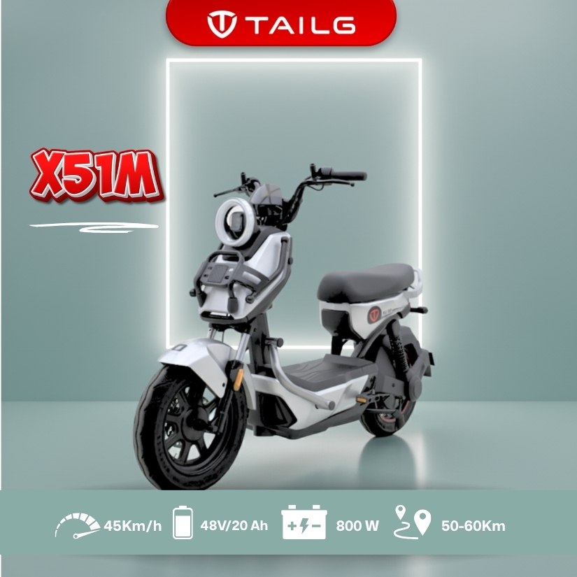 Jual Tailg X51M Sepeda Listrik 800W 45km/h | Shopee Indonesia