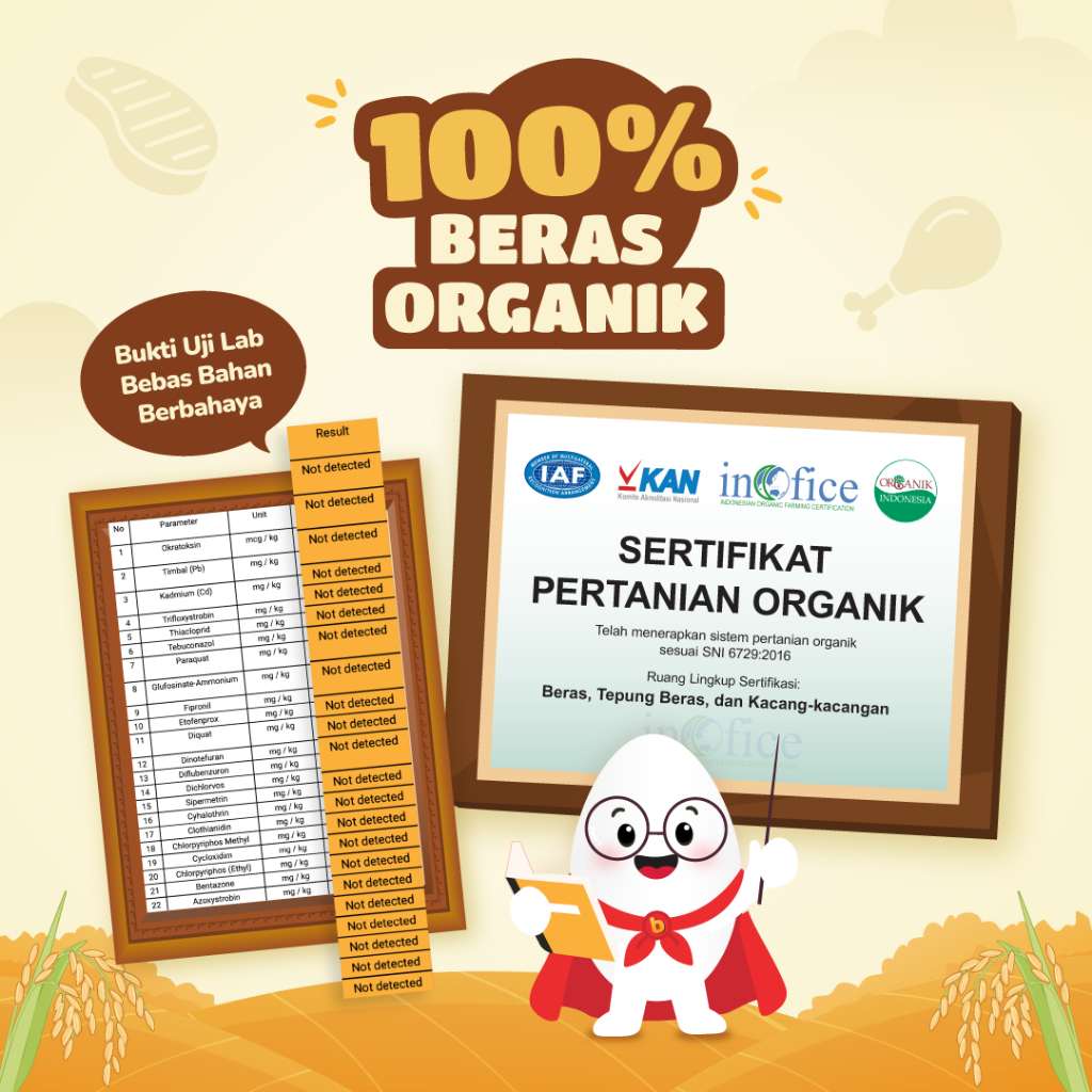 Jual Bumboo Hap Hap Rice Buy 4 Get 6 - 100% Beras Organik Tanpa ...