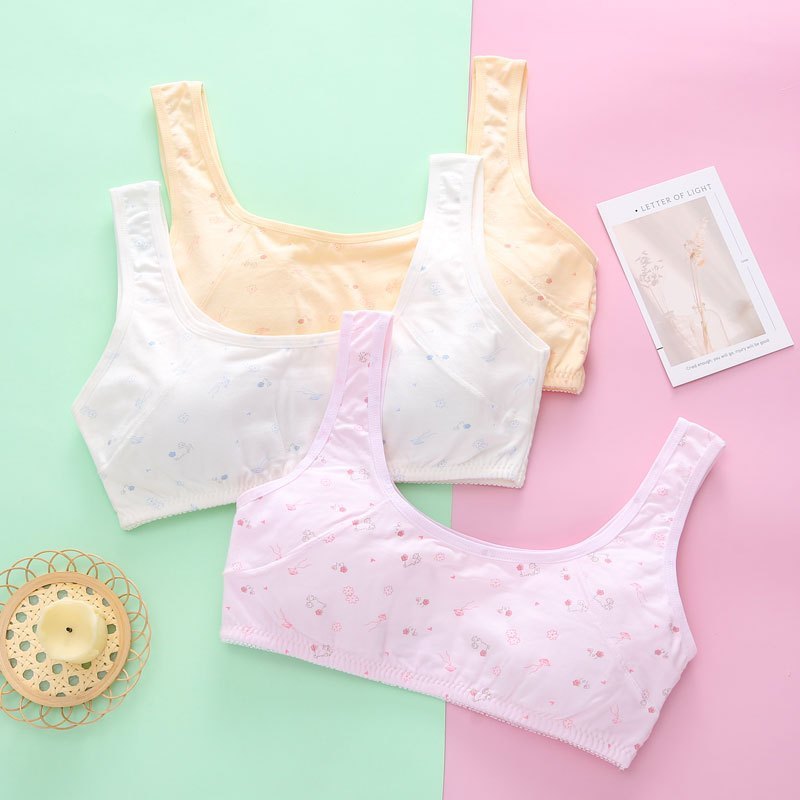 Jual MS 1324 MINISET STEP 2 POLOS PREMIUM SD SMP MINISET BH BRA ANAK ...
