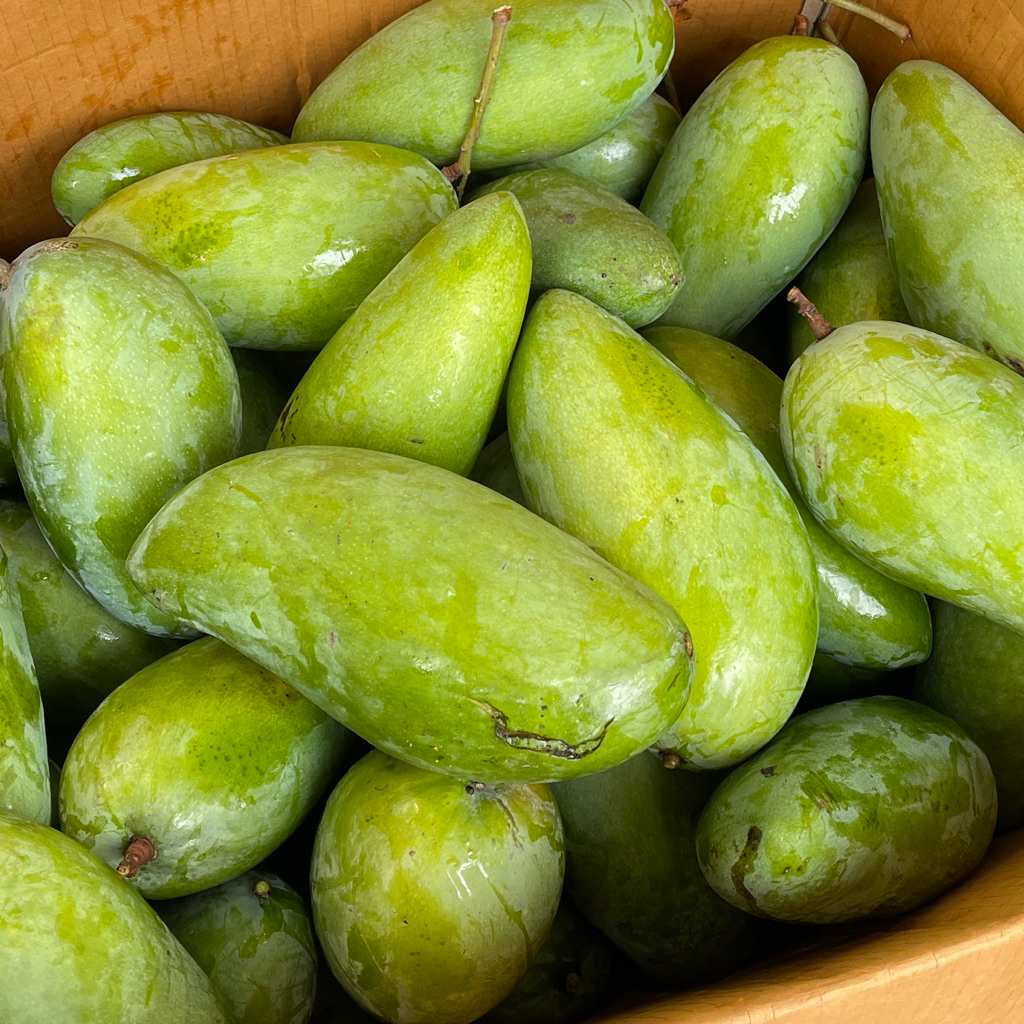 Jual MANGGA KIOJAY 1kg | Shopee Indonesia