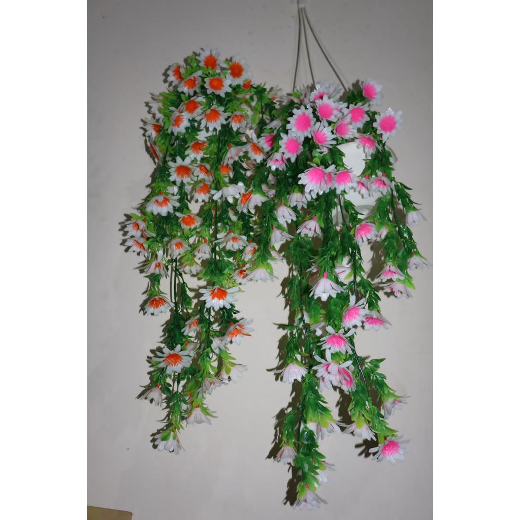 Jual C5 BUNGA SERUNI / C5 rambat Pointsteya/ Bunga Plastik/ Daun ...
