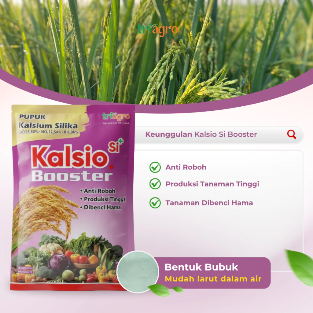 Kalsio Si Booster 3