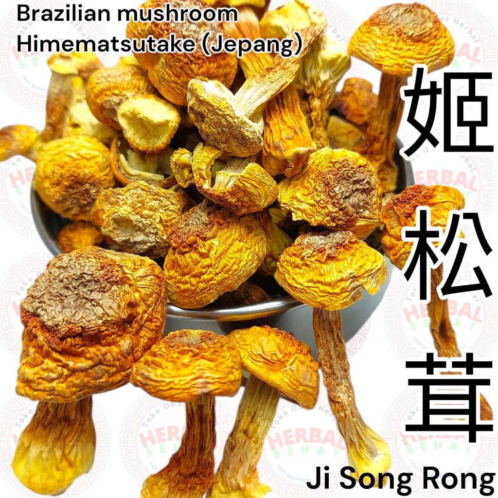Jual Ji Song Rong 50-100g - Jamur Agaricus Blazei - Brazilian Mushroom ...