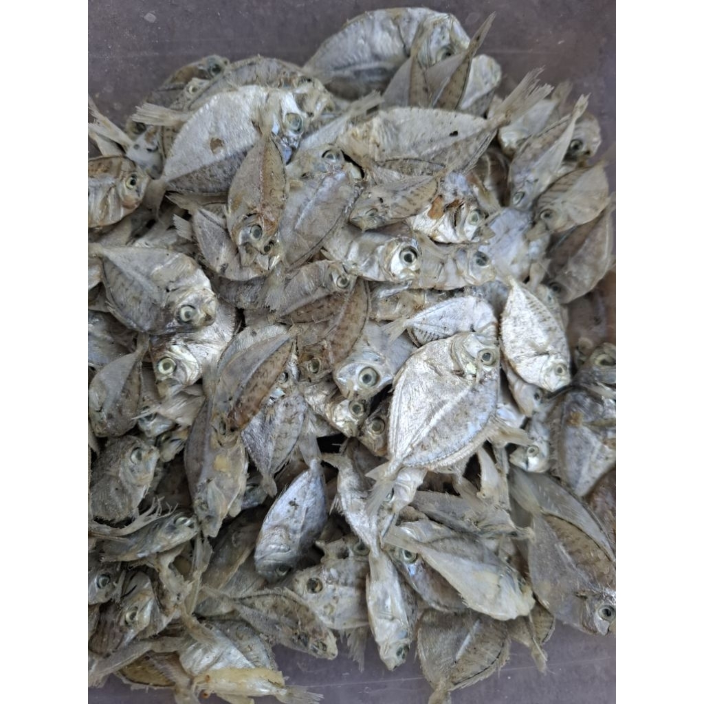 Jual Ikan Asin Petek/ikan Asin Dokdok Kecil/ Ikan Asin Pirik 1 kg ...