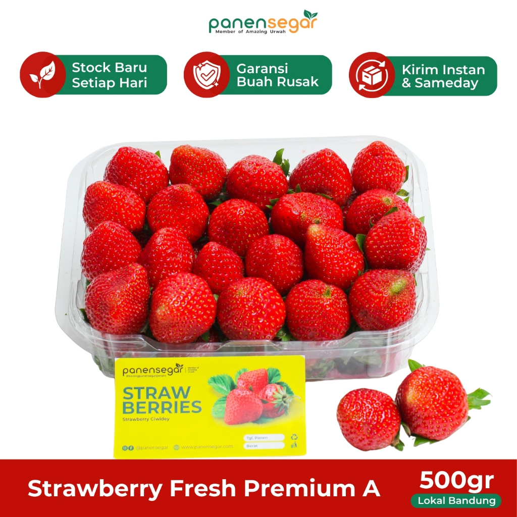 Jual Strawberry Fresh 500gr Premium Grade A Jumbo Panensegar Stroberi ...