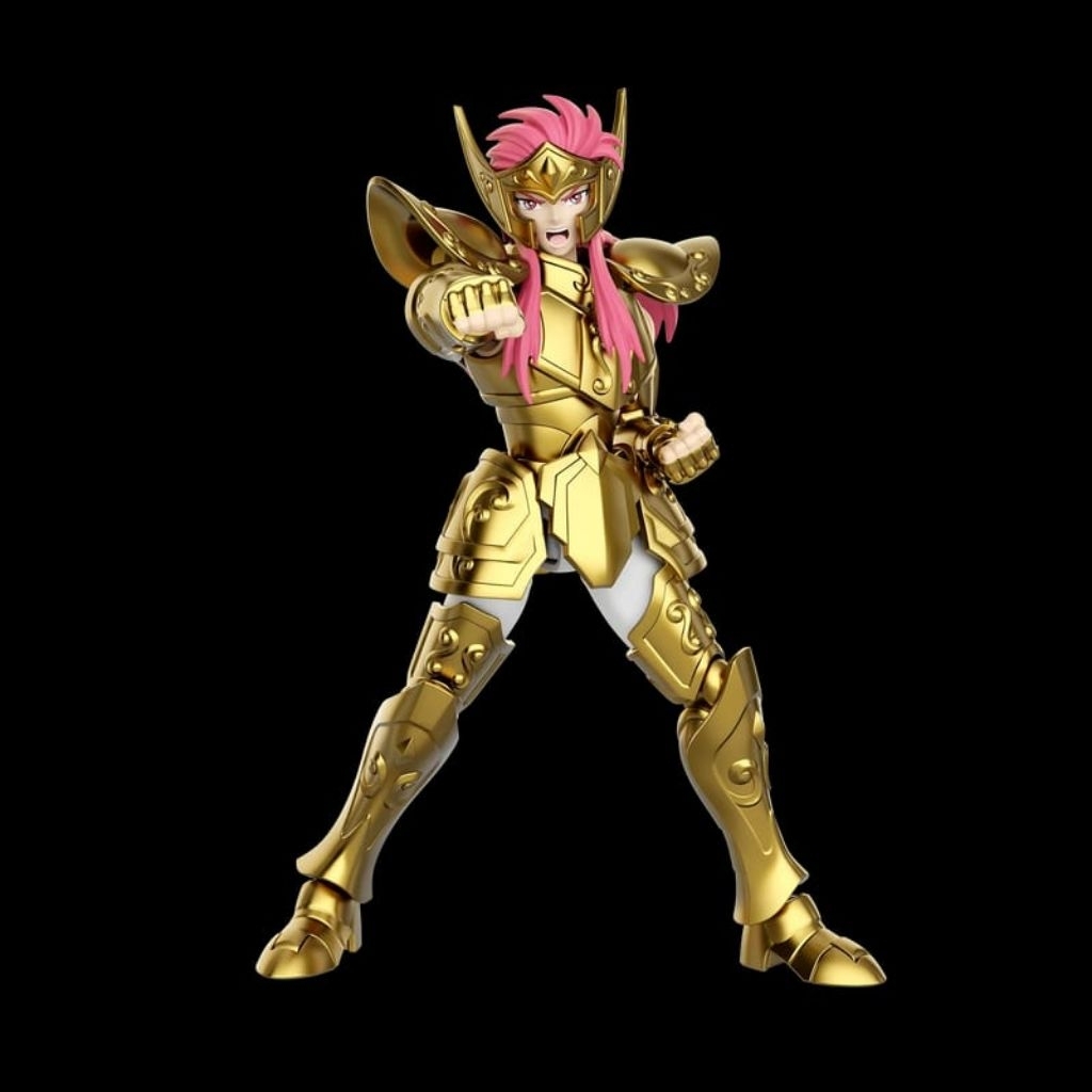 Jual Blokees Saint Seiya Champion Class CC08 Aquarius Camus model kit ...