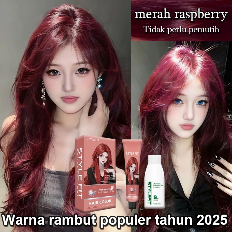 Jual Peluncuran produk baru STYLE FIT pewarna rambut merah 200ML Bahan ...