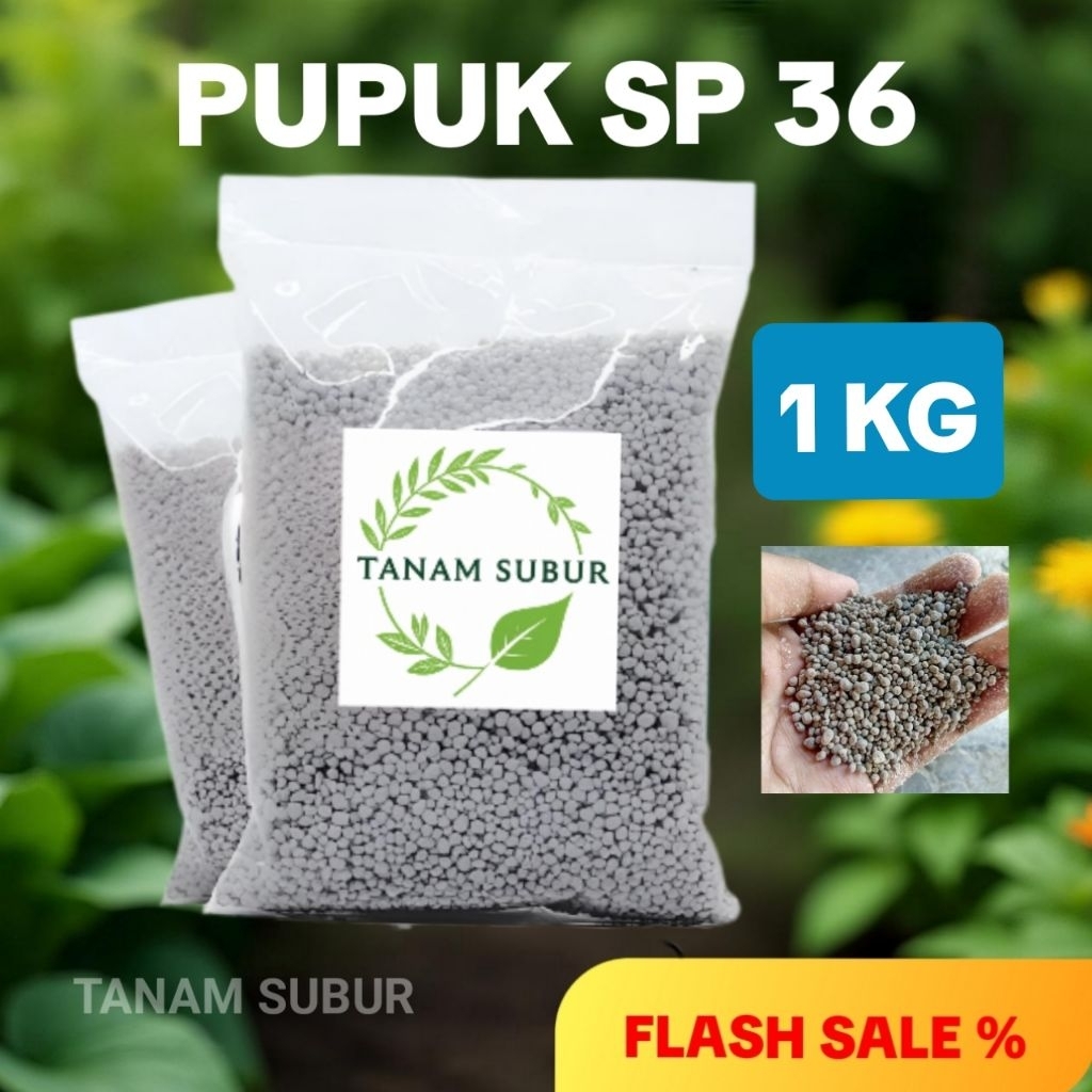 Jual Pupuk SP 36 / TSP 1kg Original Kemasan Repack Pupuk Phospat Fosfor ...