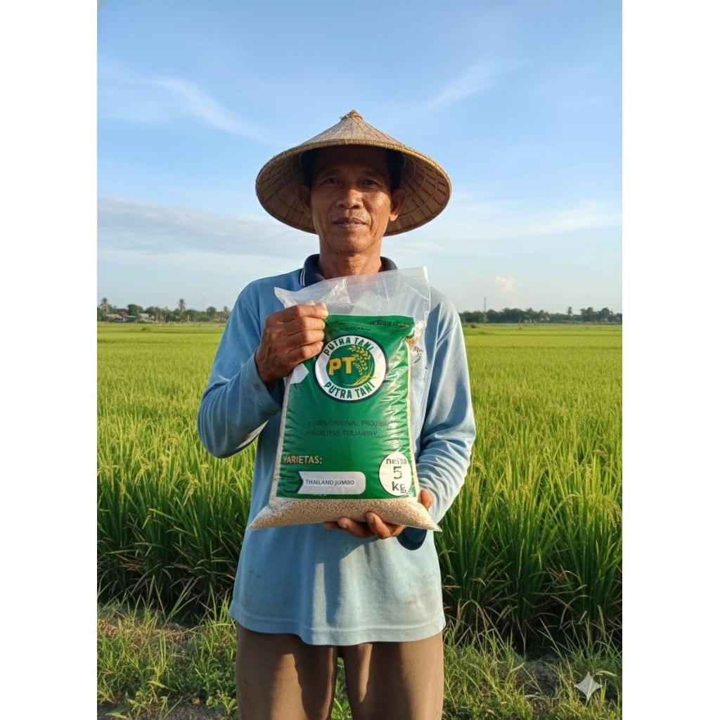 Jual THAILAND JUMBO BENIH/BIBIT PADI UNGGUL BIBIT BERKUALITAS PREMIUM ...