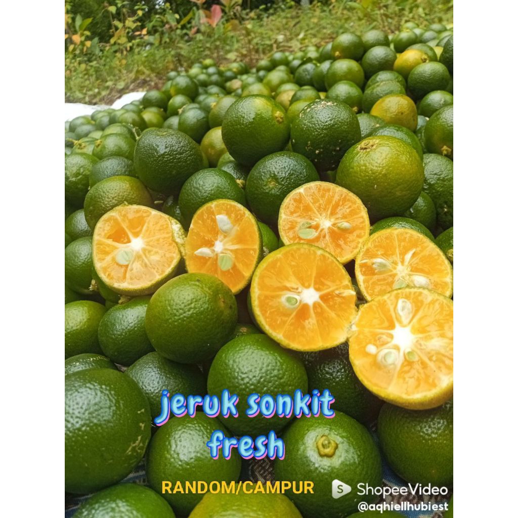 Jual jeruk peras jeruk sonkit/kiamboy kastury hijau ukuran random 1kg ...