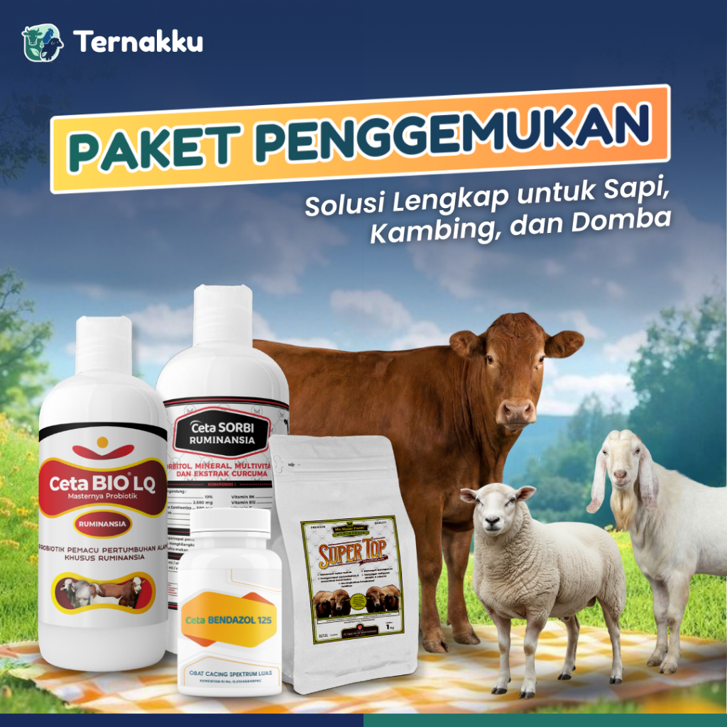 Jual PAKET KOMPLIT PENGGEMUKAN TERNAK RUMINANSIA (SAPI, KAMBING, DOMBA ...