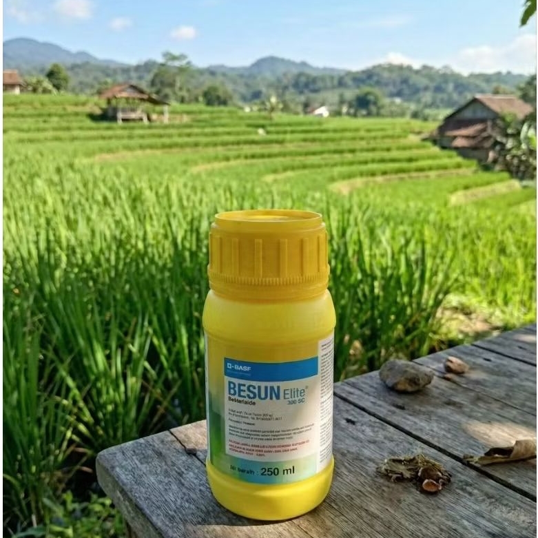 Jual Besun Elite 300 SC Bakterisida pengendali penyakit pada tanaman ...