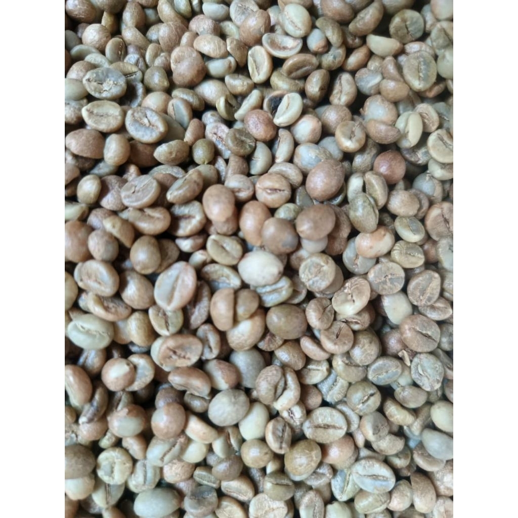 Jual GREENBEAN KOPI ROBUSTA JAVA origin biji kopi mentah ROBUSTA 1kg ...