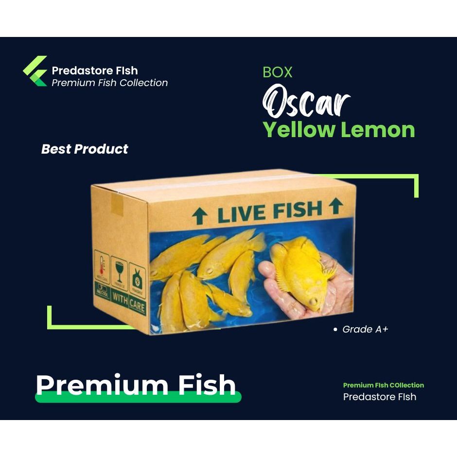 Jual BOX Kardus Terlaris Oscar Lemon Pure Kuning Grade AA - Garansi ...