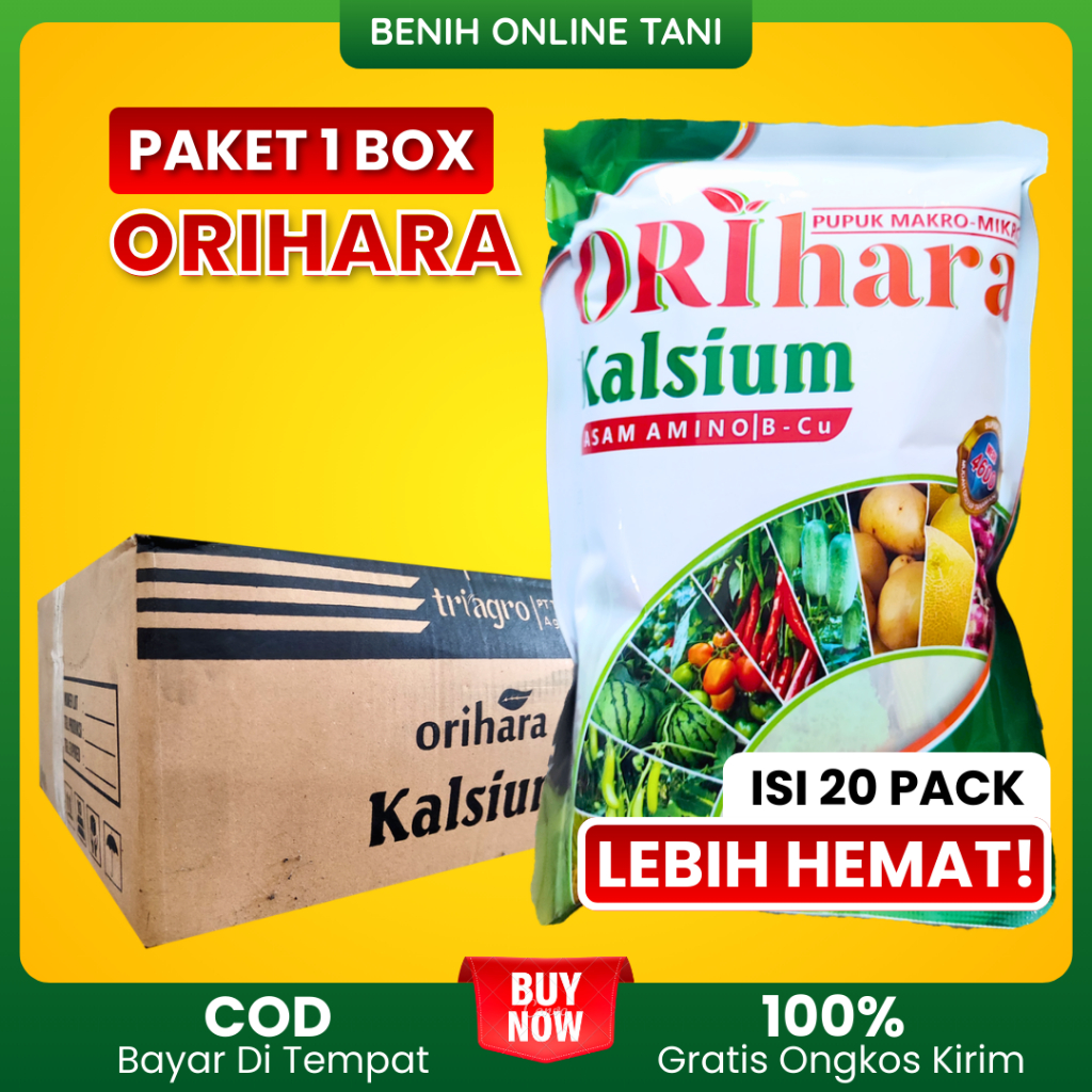Jual Ixi Terlengkap & Harga Terbaru April 2026 | Shopee Indonesia