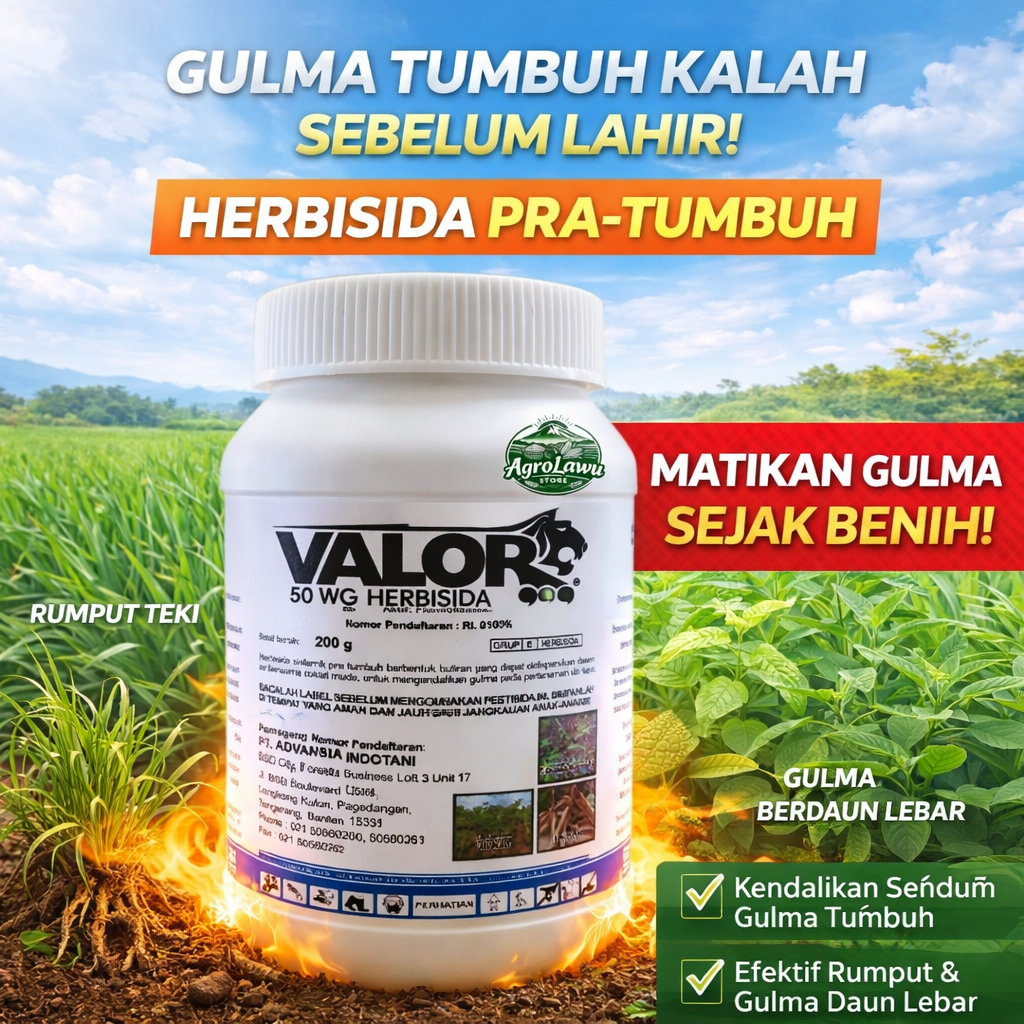 Jual Herbisida Valor pembasmi rumput / suket Pra-Tumbuh Pada Tanaman ...