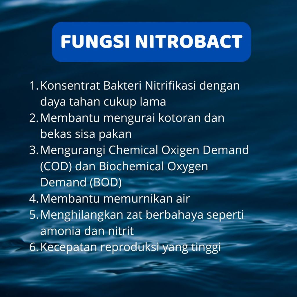 Jual NITROBACT Bakteri Nitrifikasi Perikanan 1L | Nitrobacter ...