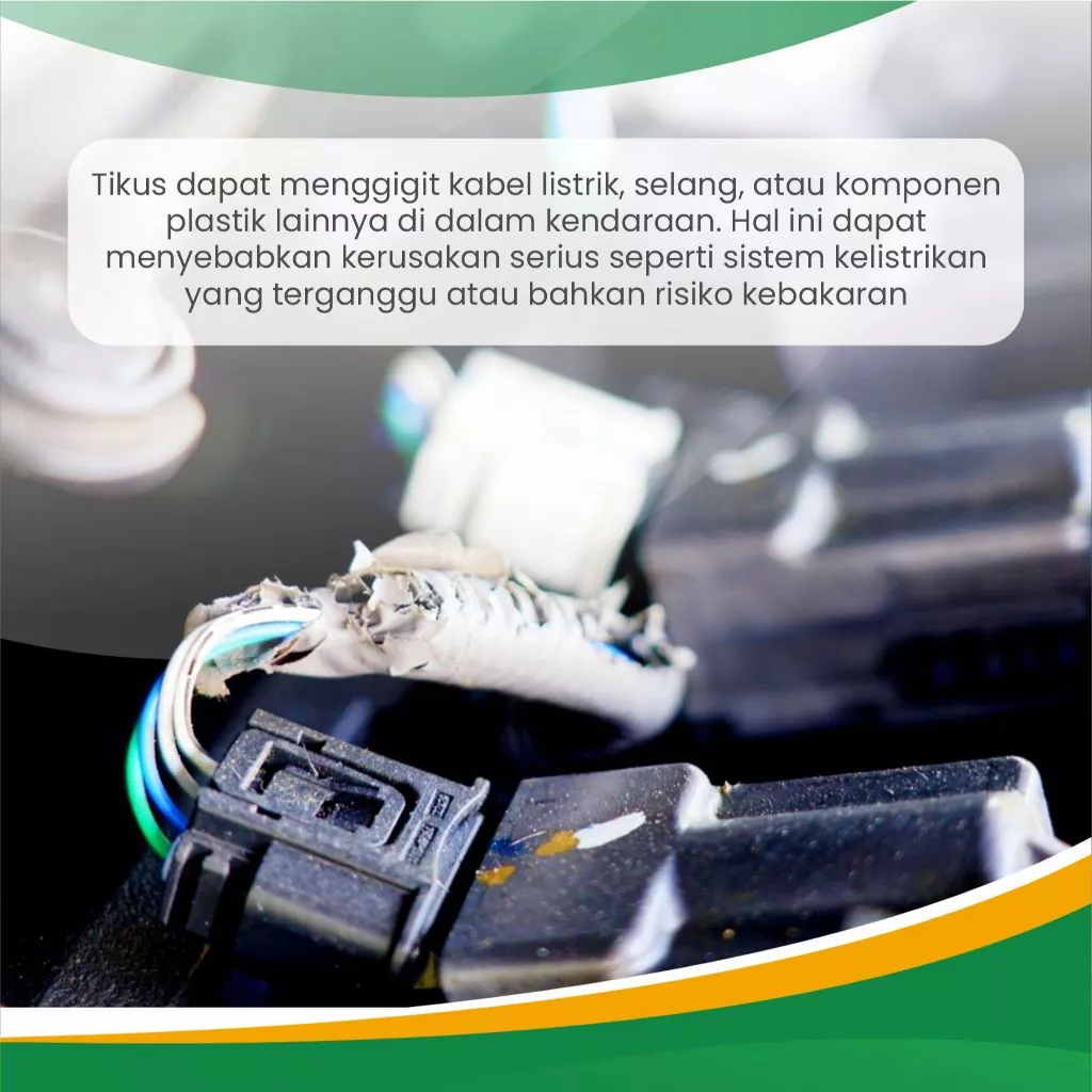 Keunggulan Antirat 3