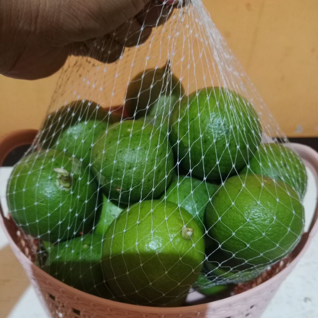Jual jeruk nipis fresh size RANDOM 1kg | Shopee Indonesia