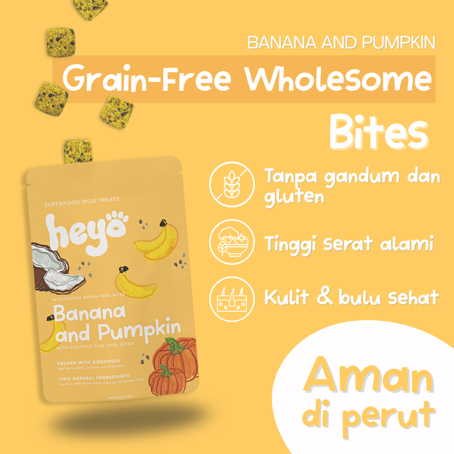 Jual Buy 5 for 175k | Heyo Superfood Dog Treats - Wholesome Grain-Free ...