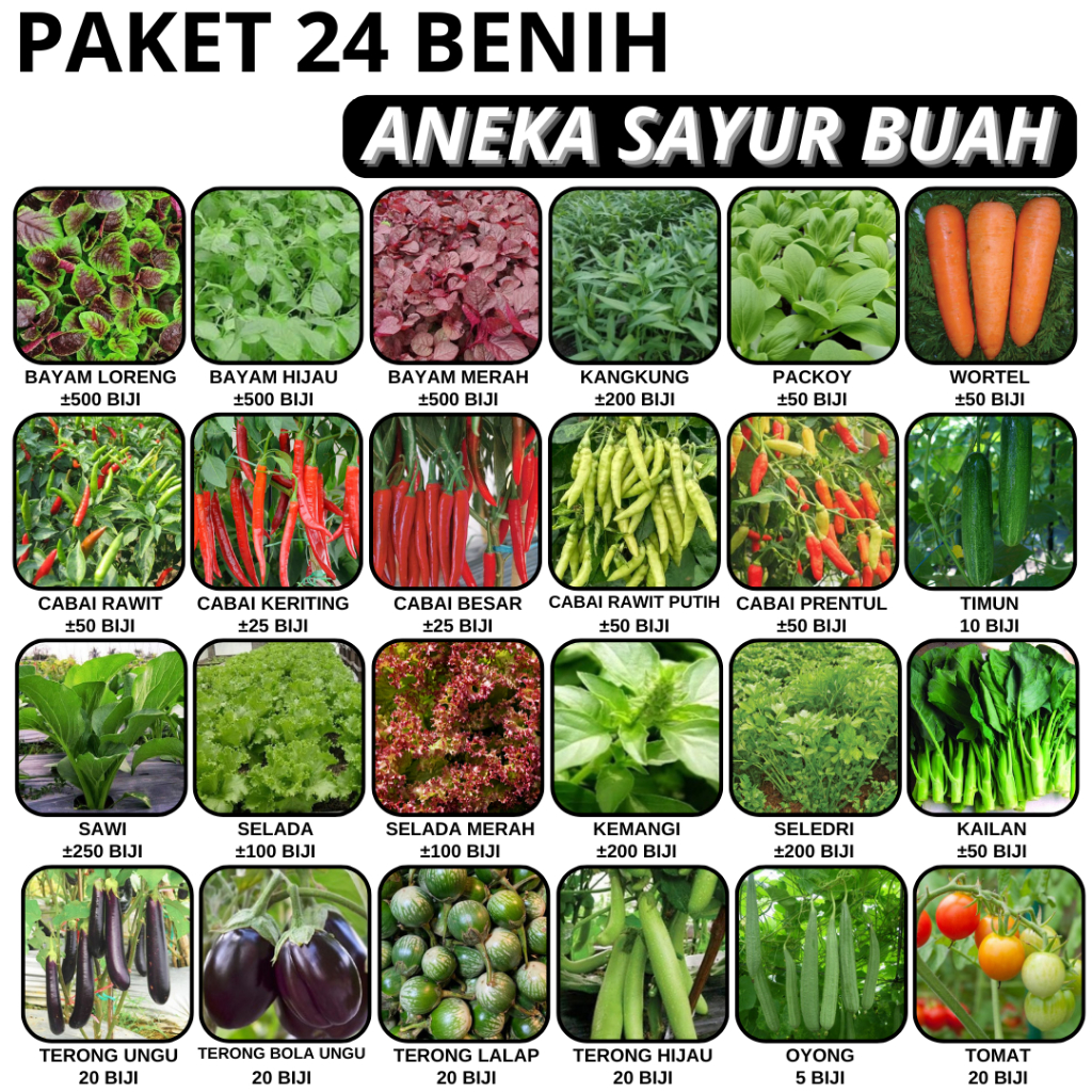 PAKET 24 BENIH ANEKA SAYUR BUAH BISA HIDROPONIK DAN KONVENSIONAL BAYAM MERAH HIJAU LORENG CABAI RAWIT CABE KERITING BESAR SELADA MERAH KEMANGI SELEDRI KAILAN TERONG BOLA LALAP OYONG TOMAT