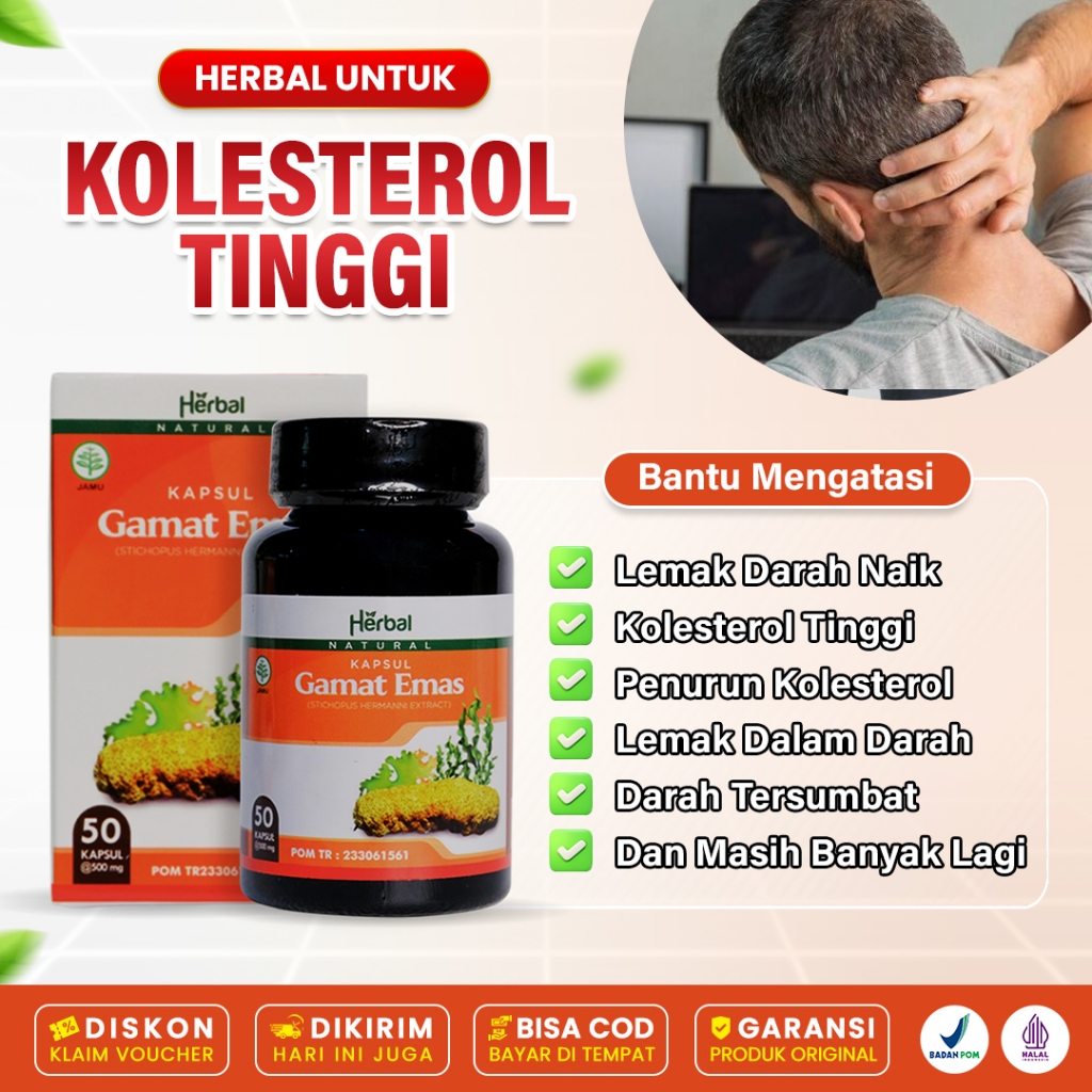 Obat Kolesterol Lemak Darah Tinggi Penurun Kadar Kolestrol Naik Trigliserida Sakit Jantung Stroke Kapsul Gamat Emas Asli