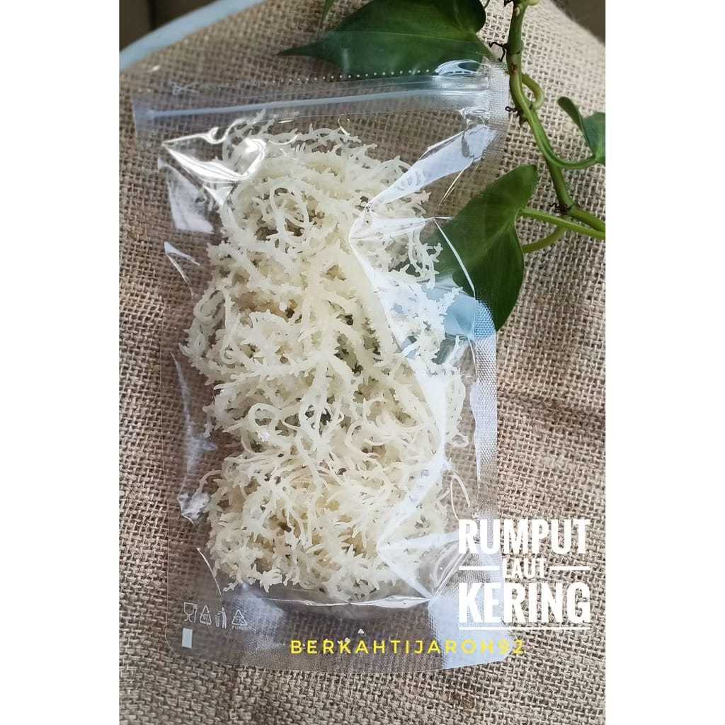 Jual 1kg Rumput laut kering | Shopee Indonesia