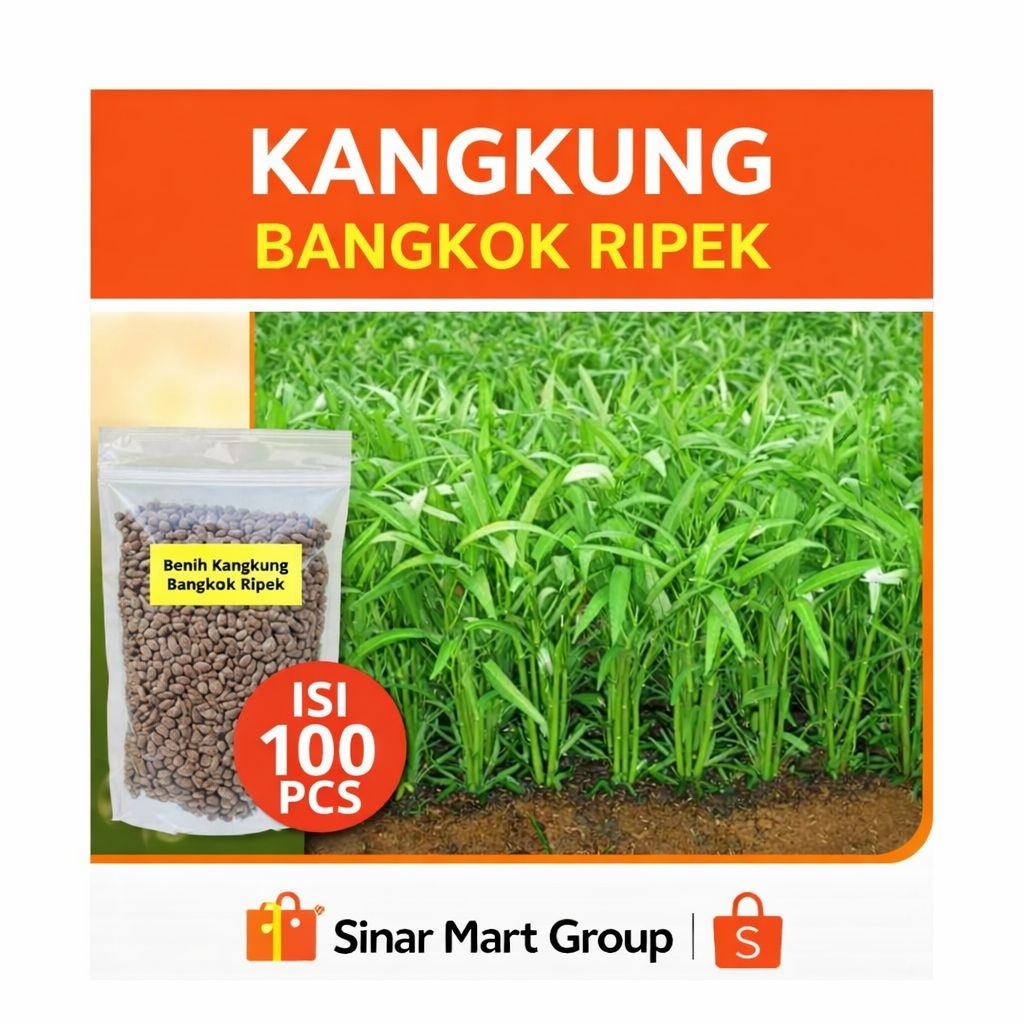 100 Biji - Benih Kangkung Daun Lebar Siap Tanam Bibit Sayuran