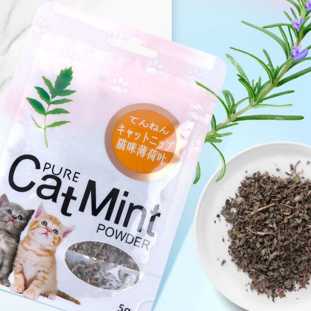 Jual Catnip Camilan Kucing Catmint Pure Powder Menthol Penghilang ...
