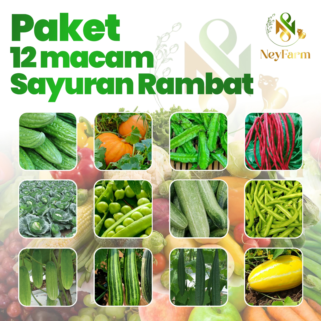 Paket 12 Benih Sayuran Rambat Paket Benih Sayuran Rambat