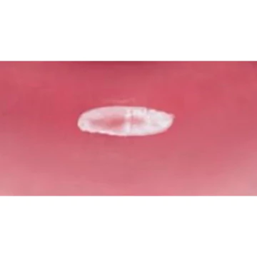 CLX Crystal Glam Tint Glossy Lip Tint
