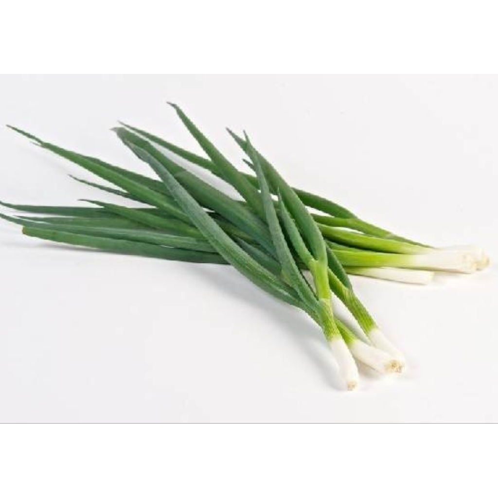Jual Bawang Prei Terlengkap & Harga Terbaru Agustus 2026 | Shopee Indonesia